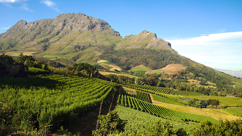 Franschhoek  hjemreise