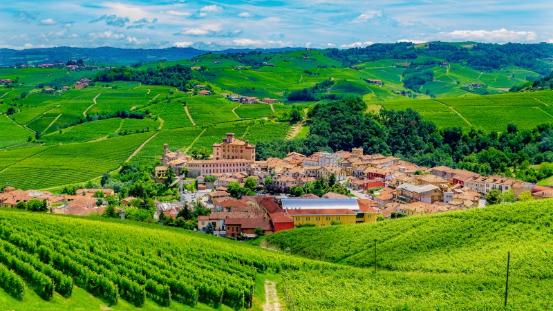 Barolo omgitt av grnne vinmarker