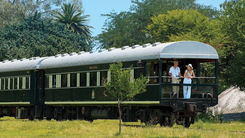 2 personer bakerst i observasjonsvognen p Rovos Rail toget, omringet av grnn natur